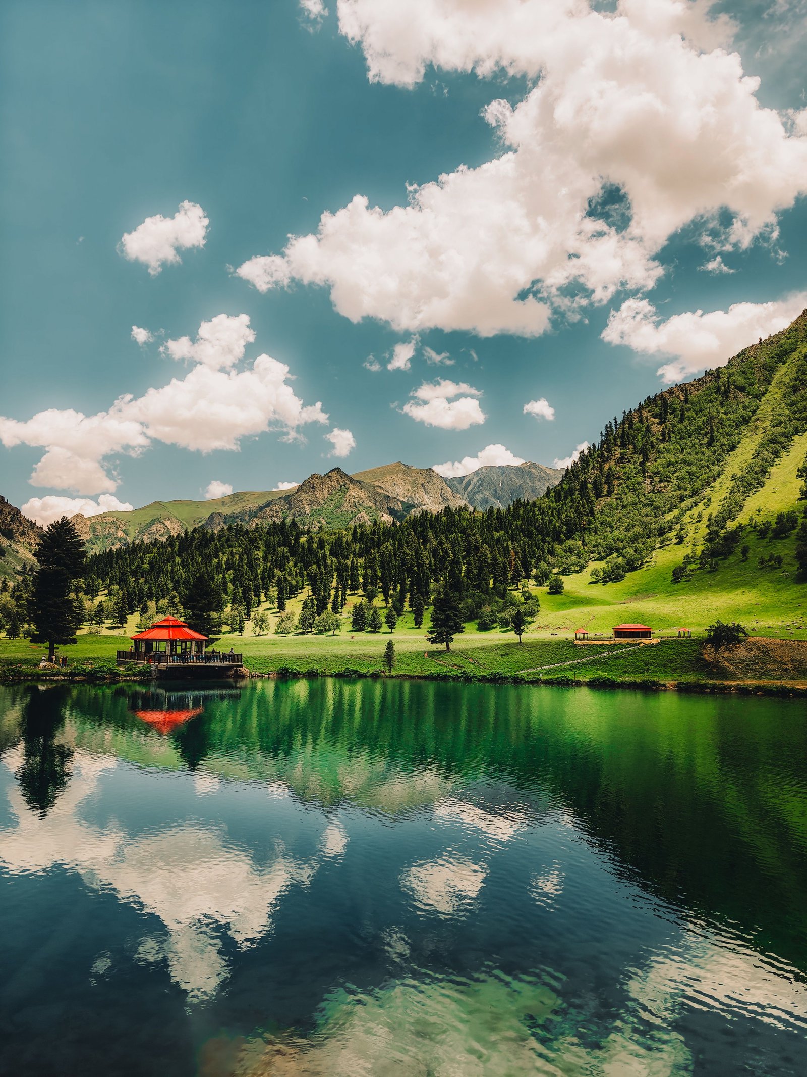 Astore, Minimarg, Fairy Meadows, Naran, Kashmir, Arang Kel & Taobat