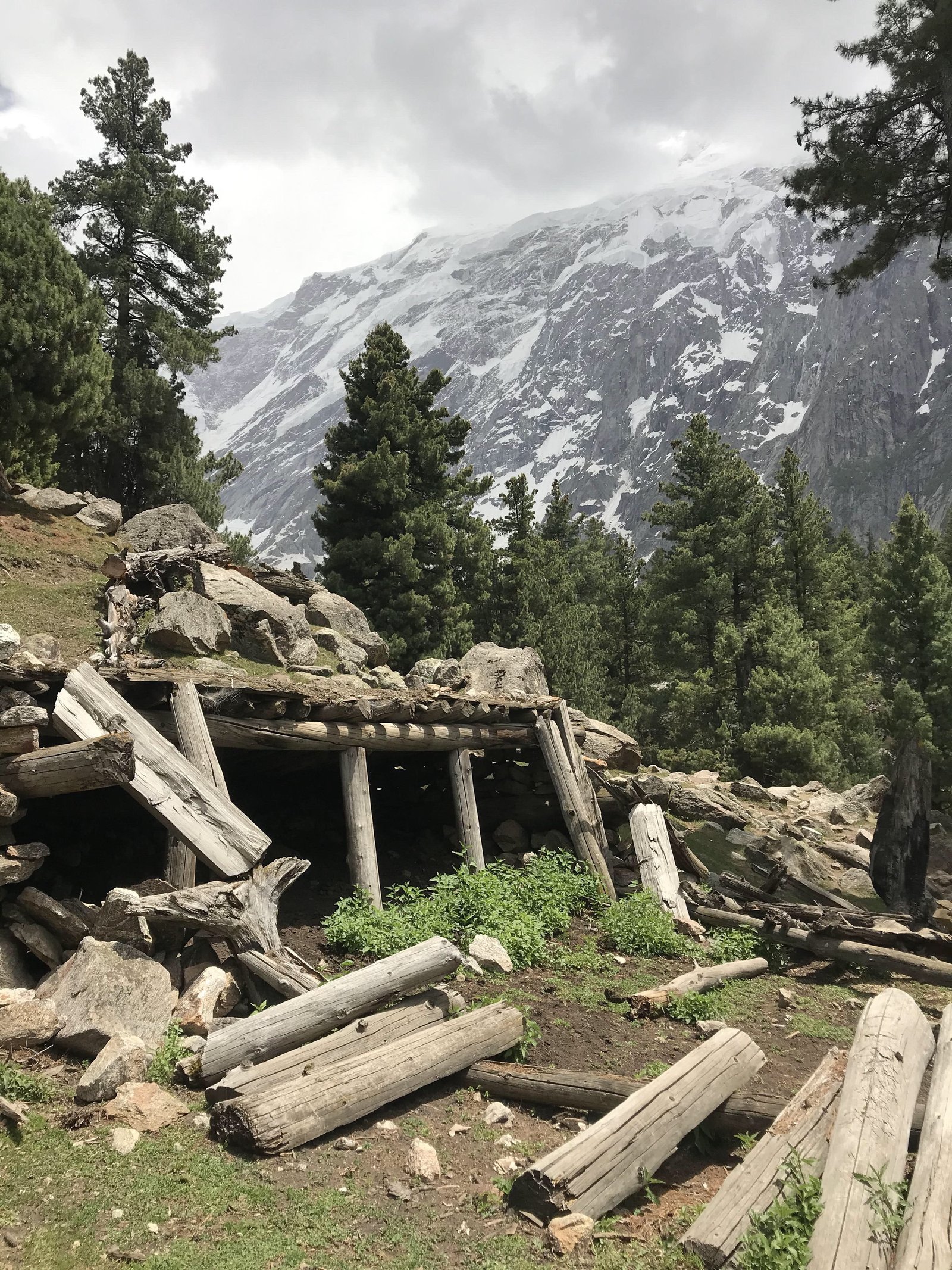 Fairy Meadows photograph 10