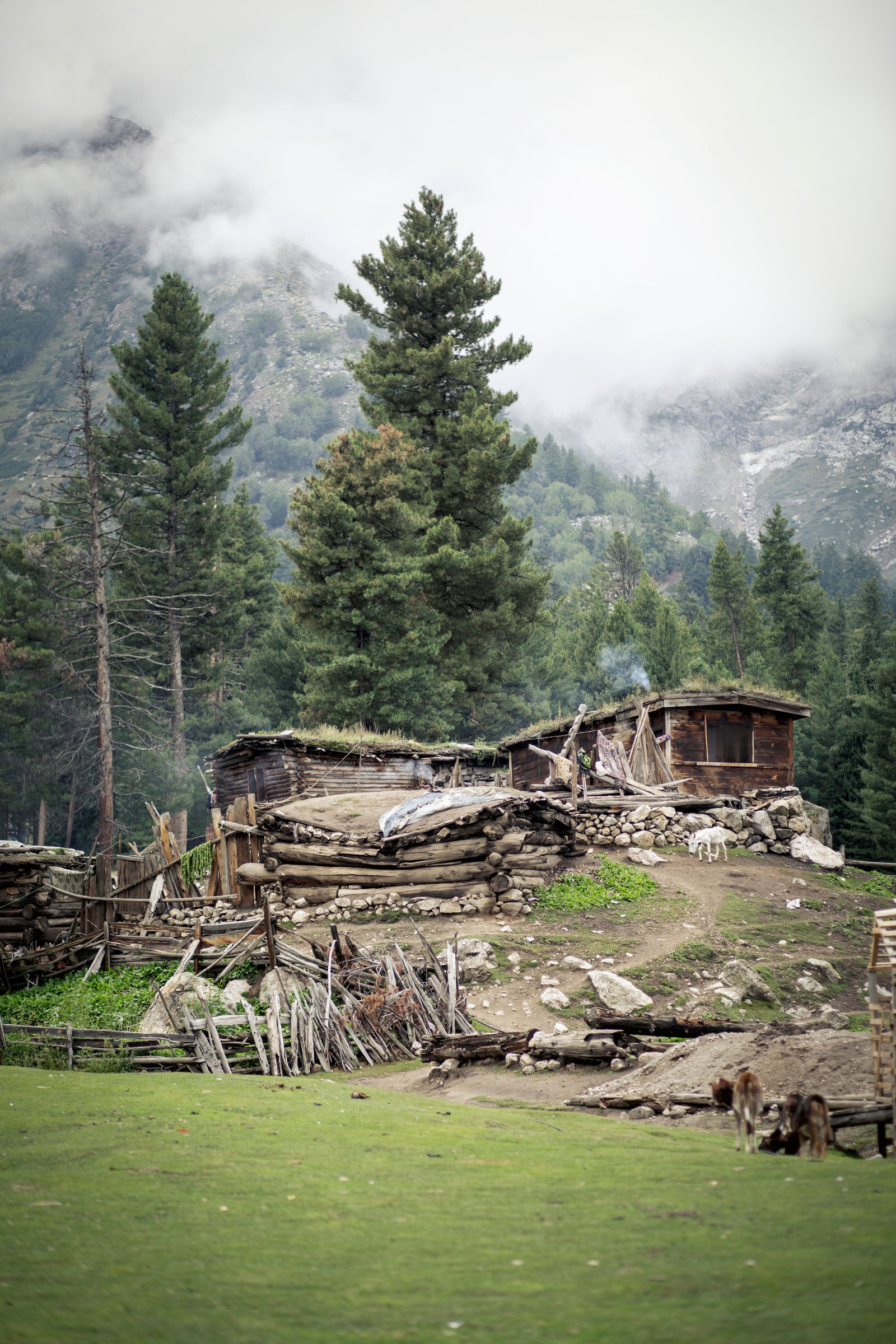 Fairy Meadows photograph 13