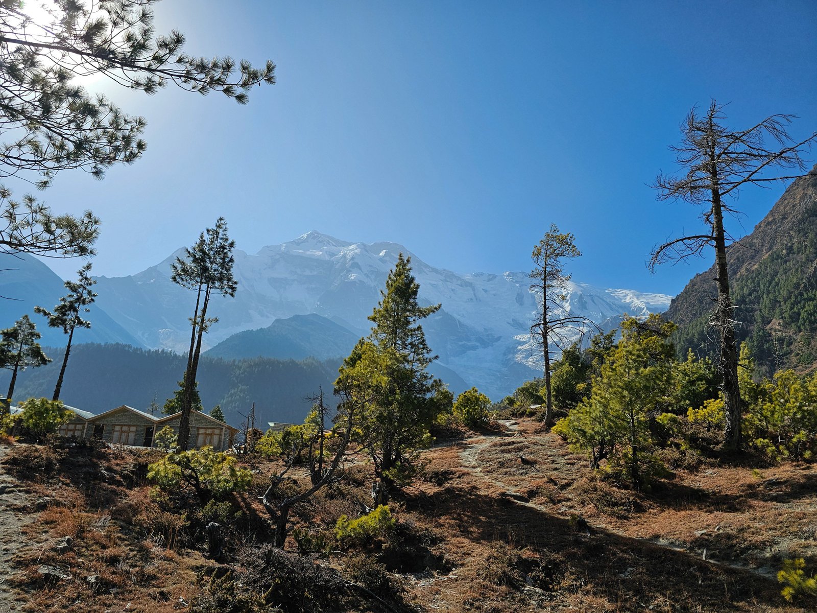 Fairy Meadows photograph 12