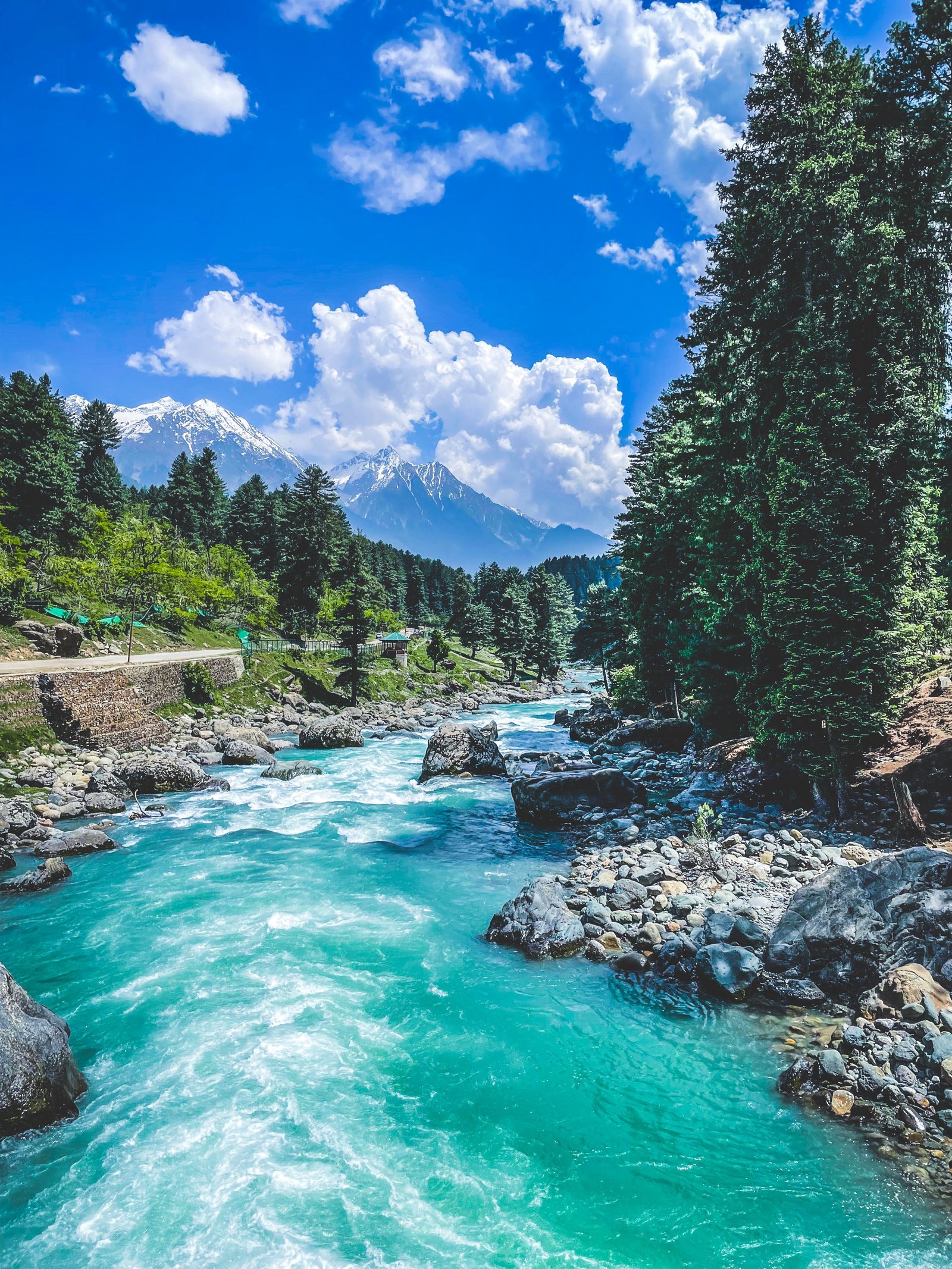 Kalam photograph 11