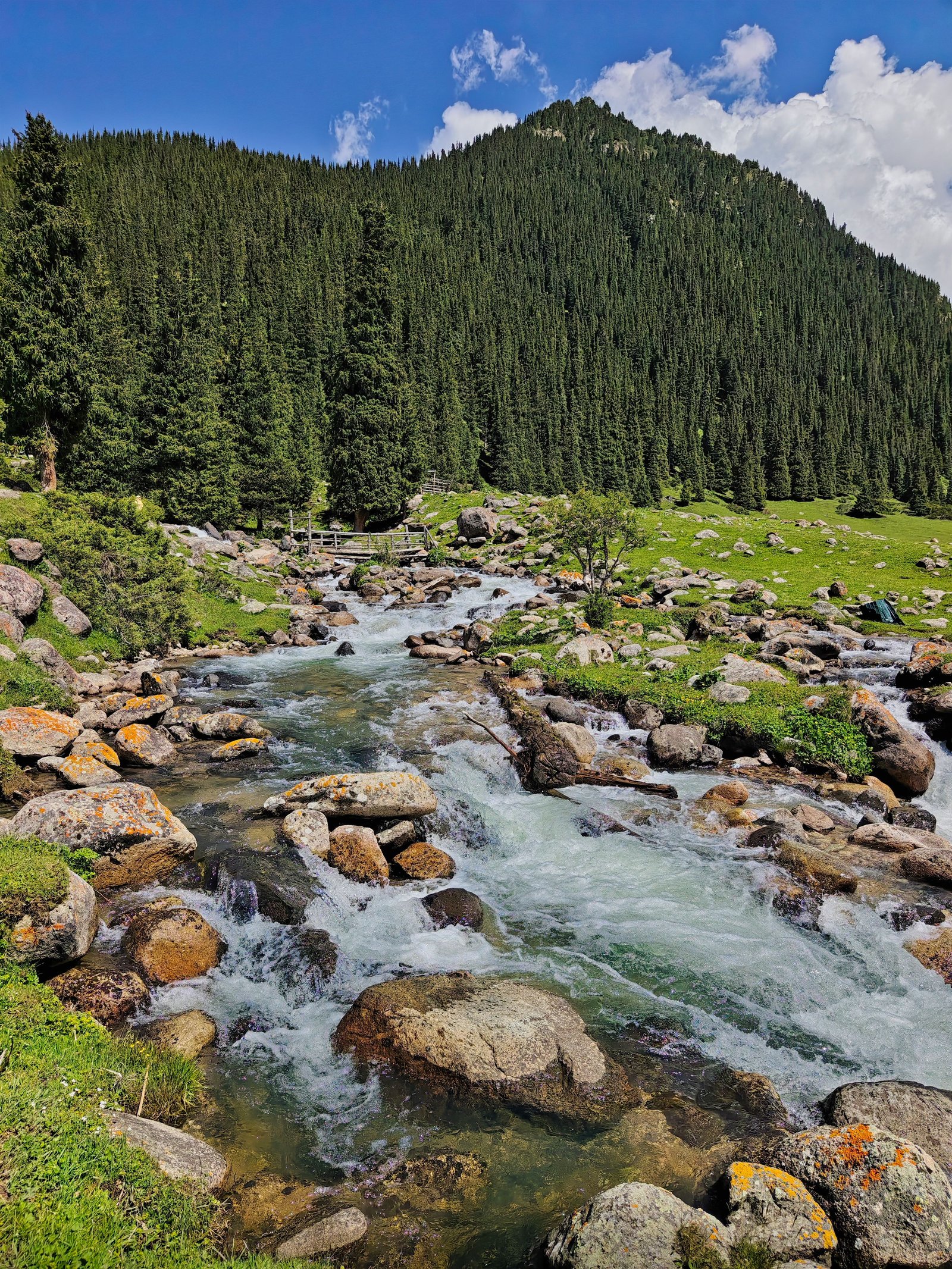 Kalam photograph 12