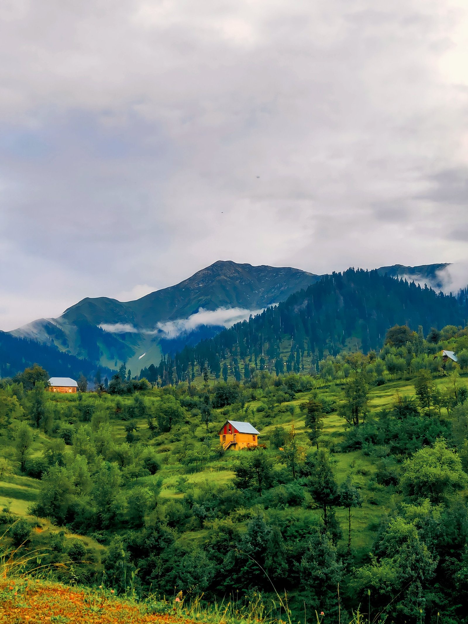 Kalam photograph 13