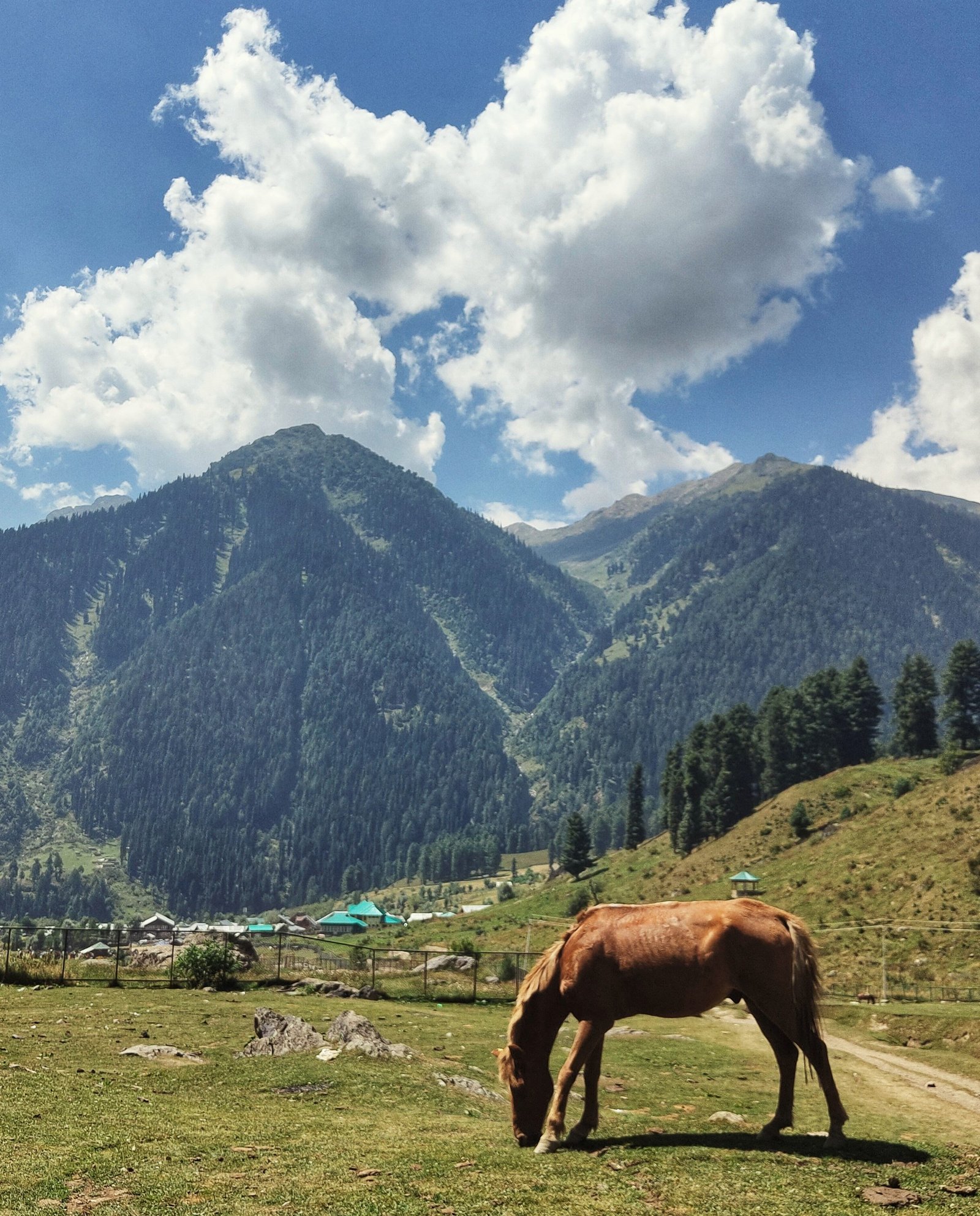 Kashmir photograph 5