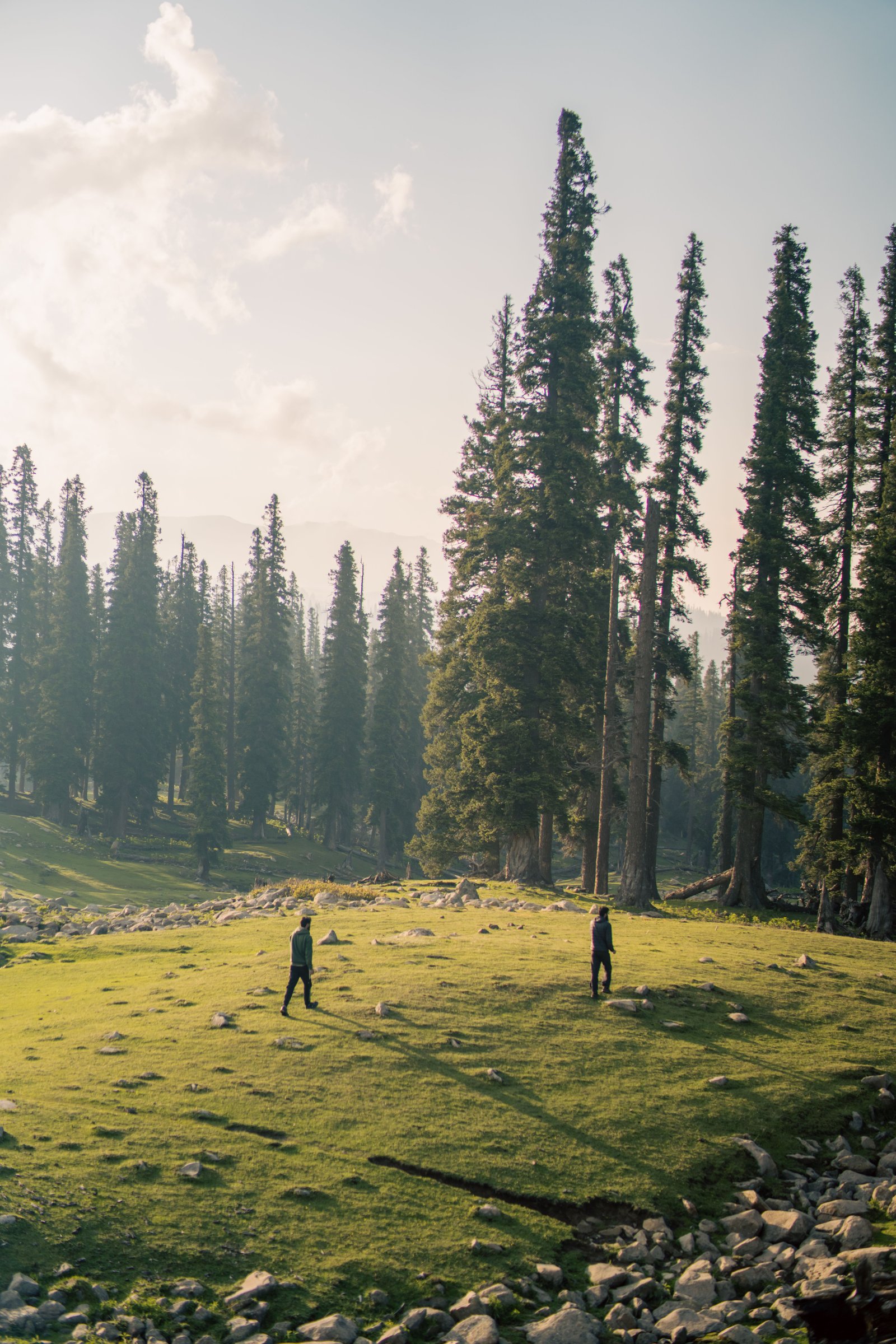 Kashmir photograph 8