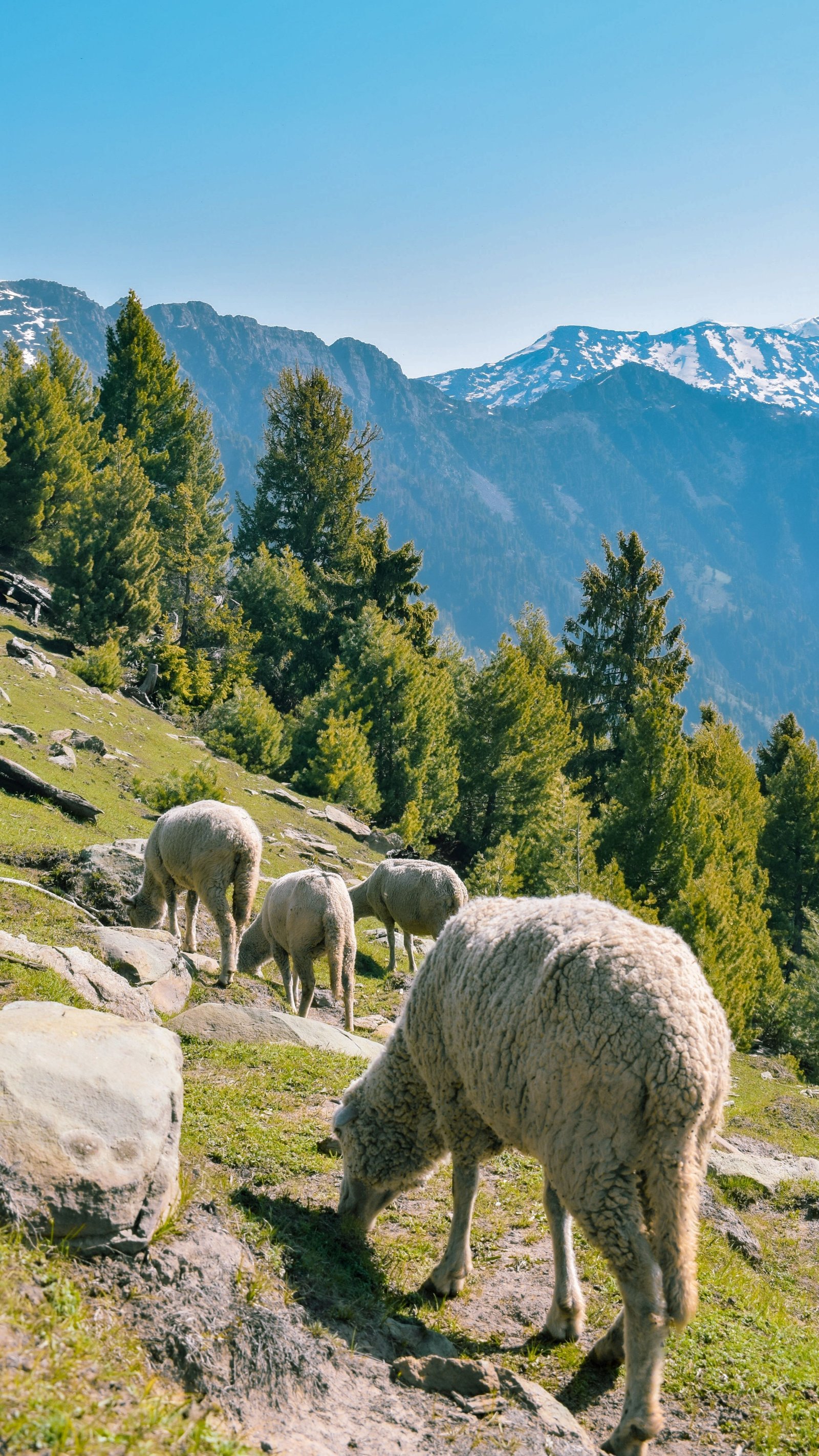 Kumrat Valley photograph 6