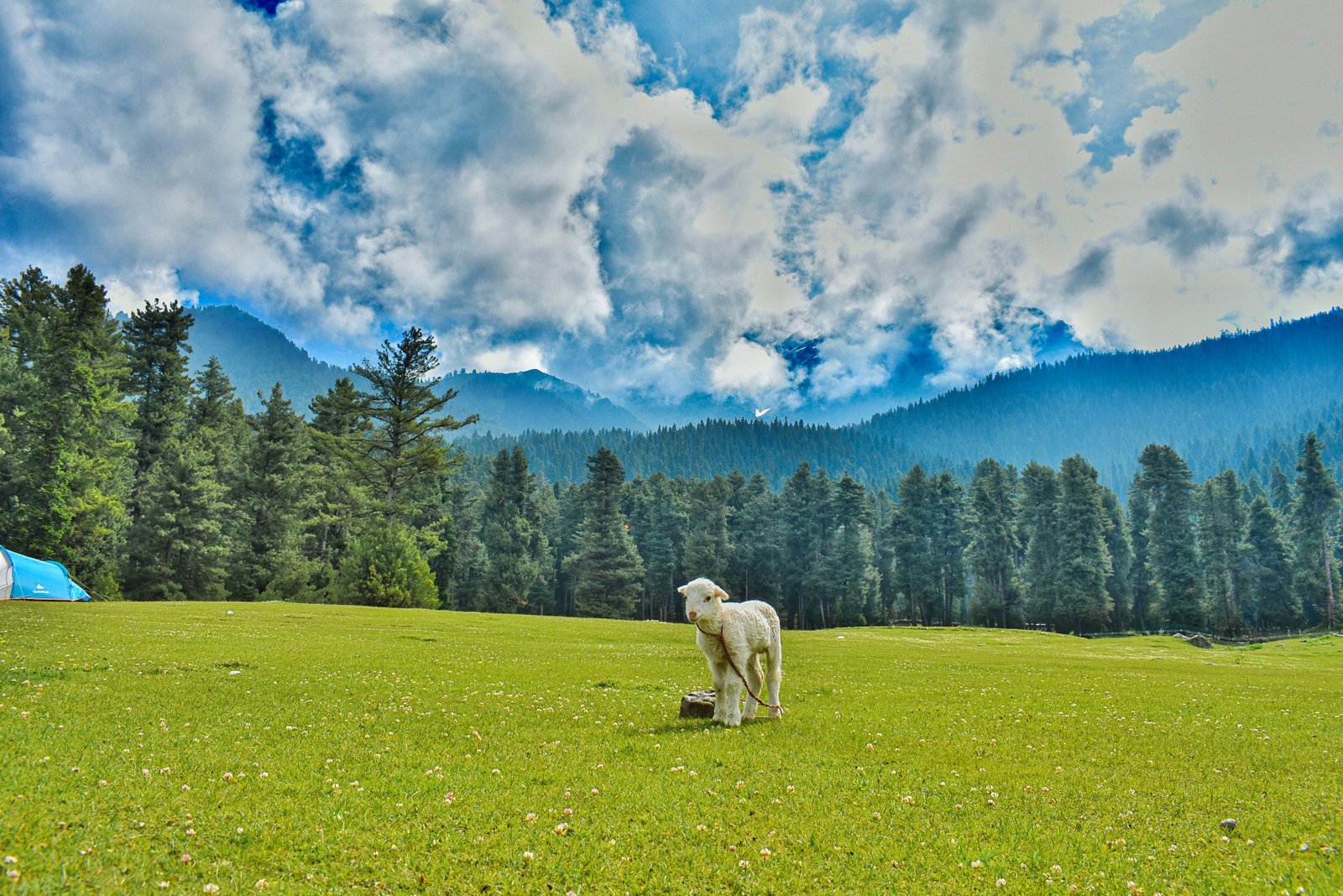 Kumrat Valley photograph 7