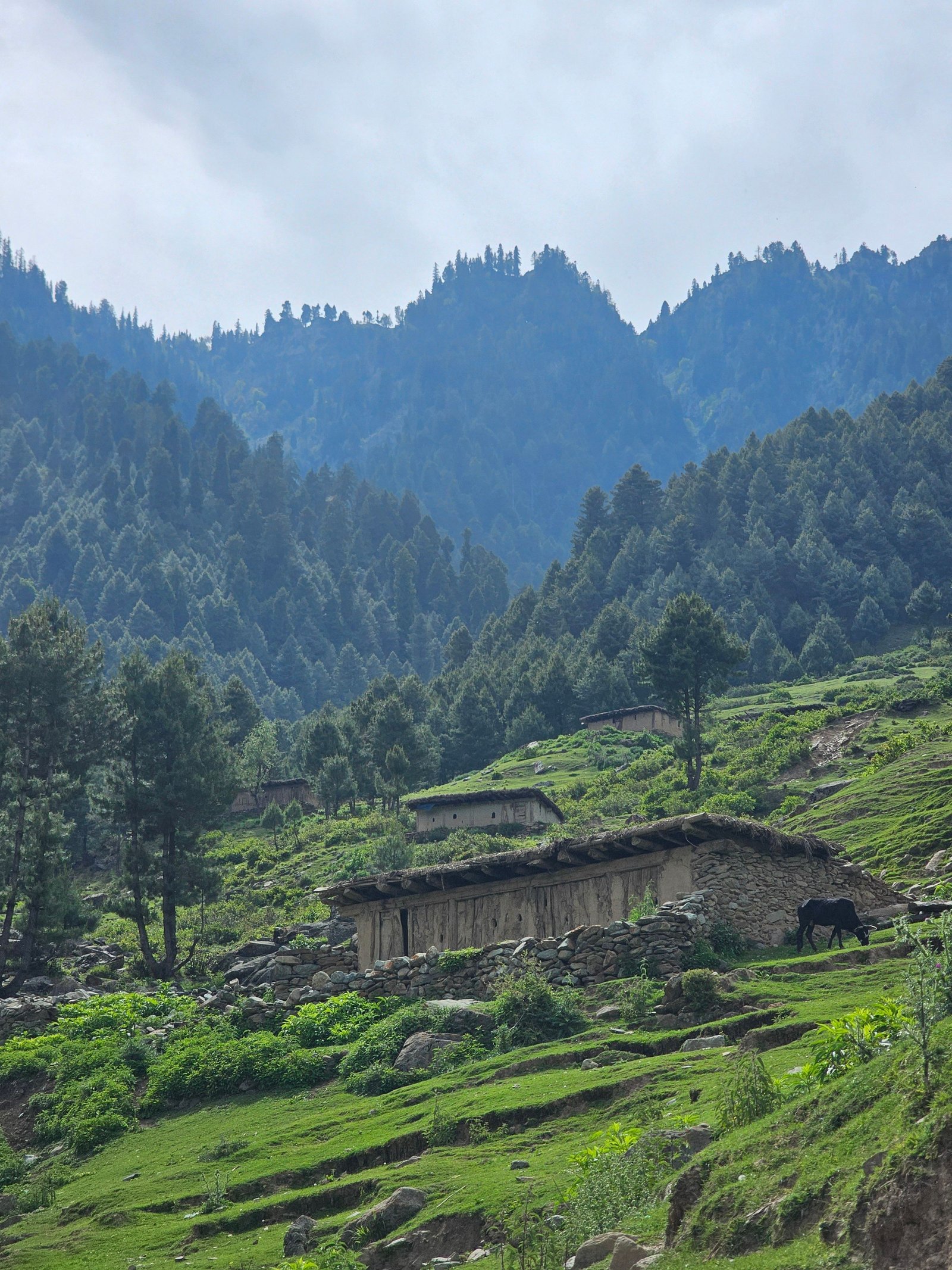 Minimarg photograph 4