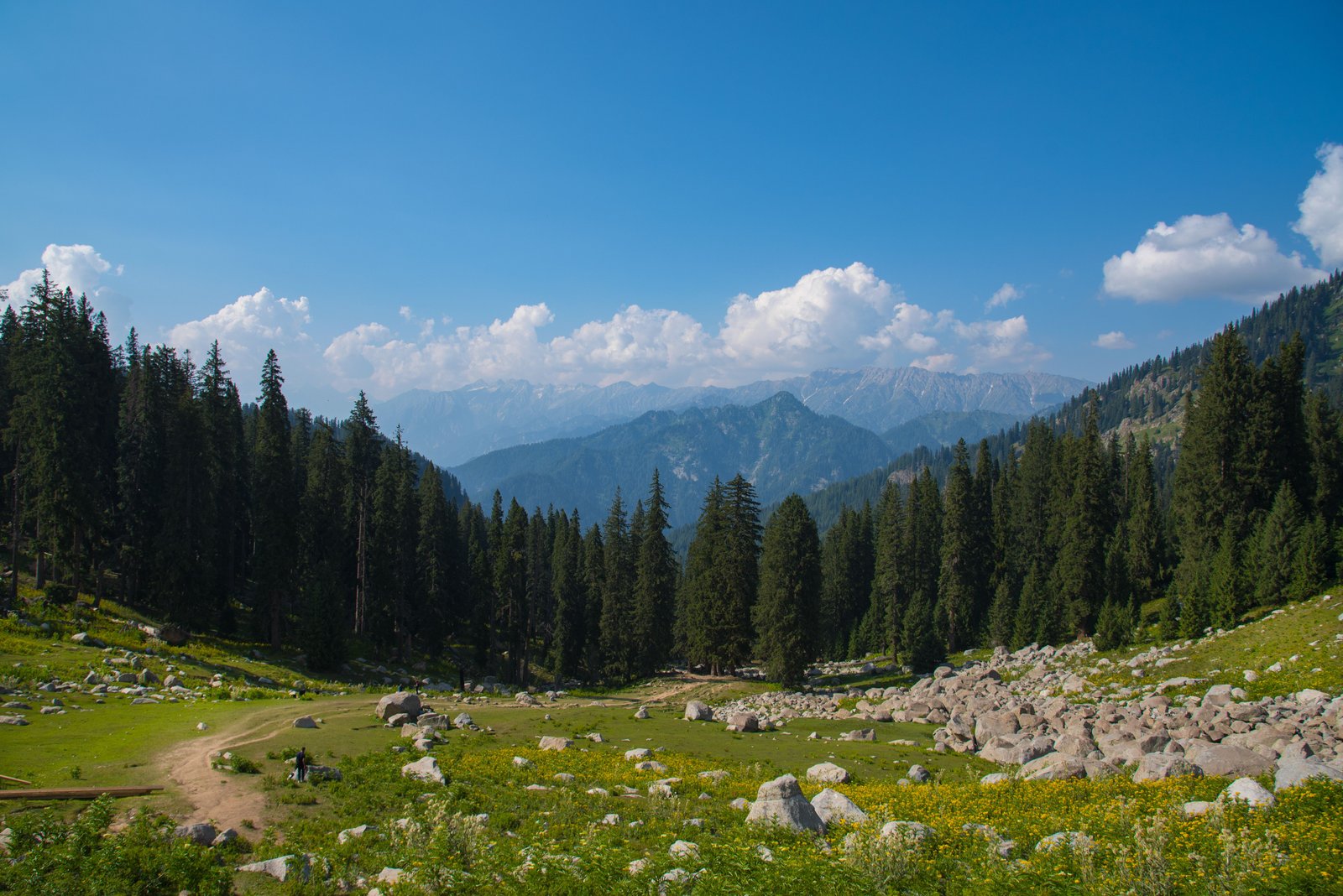 Minimarg photograph 5