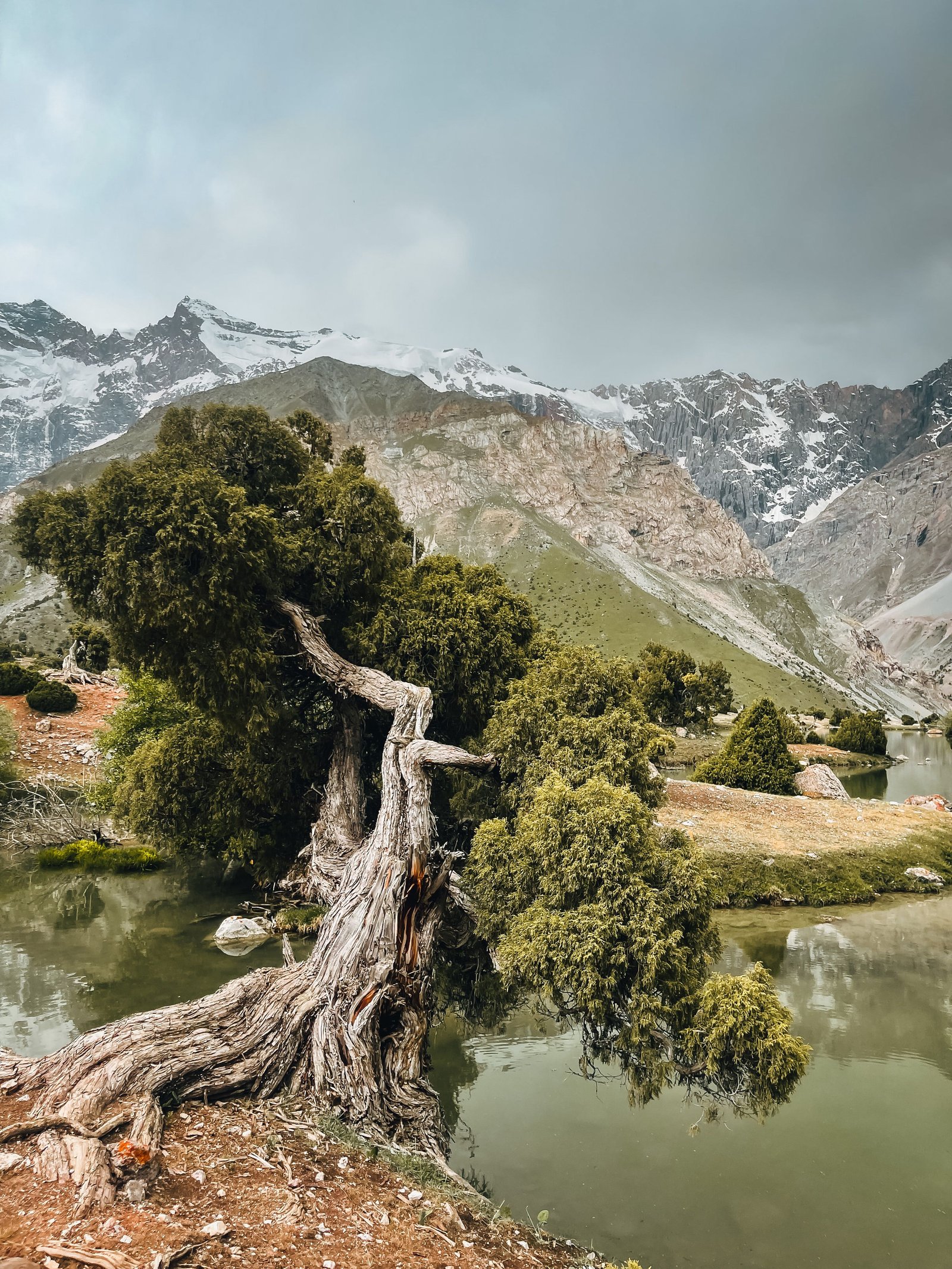Naltar Valley photograph 4