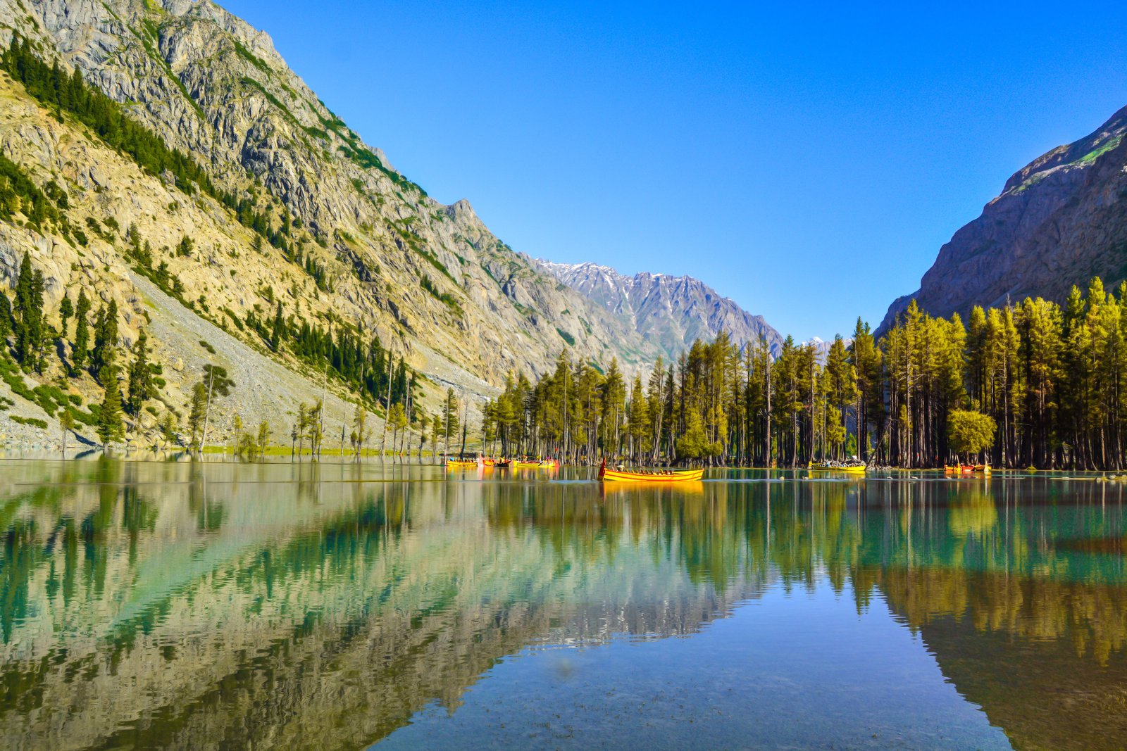 Naltar Valley photograph 5