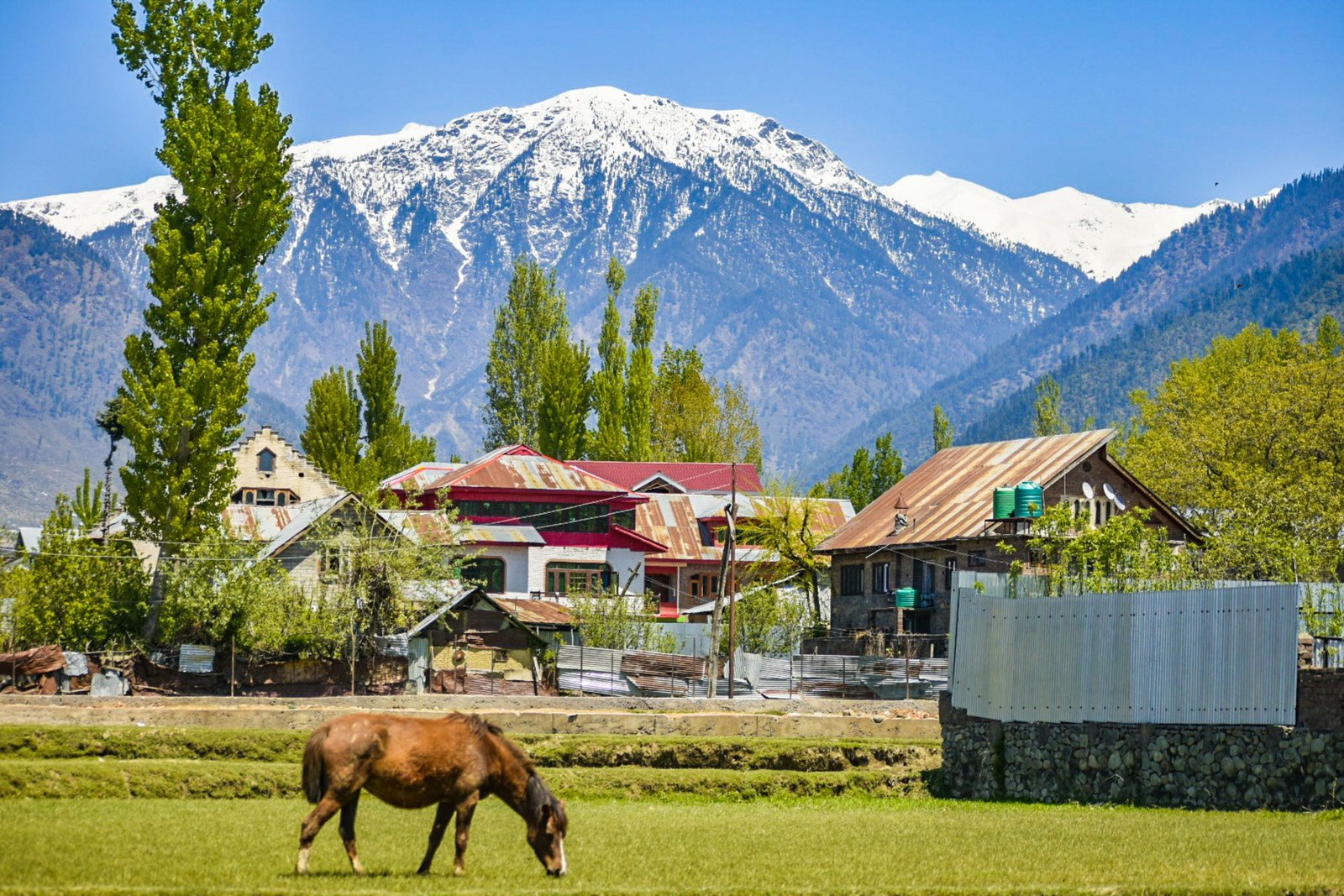 Neelum Valley photograph 4